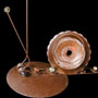 snail